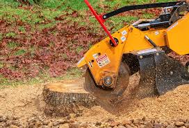 Best Weed Control  in Pottsgrove, PA